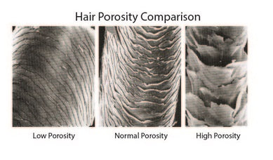 een voorbeeld van laag, normale een hoge porositeit dat te maken heeft met proteine in haarproducten.